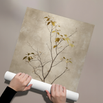 Posters Without Frame