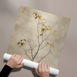 Posters Without Frame