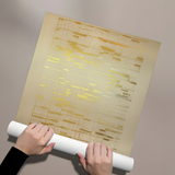 Posters Without Frame