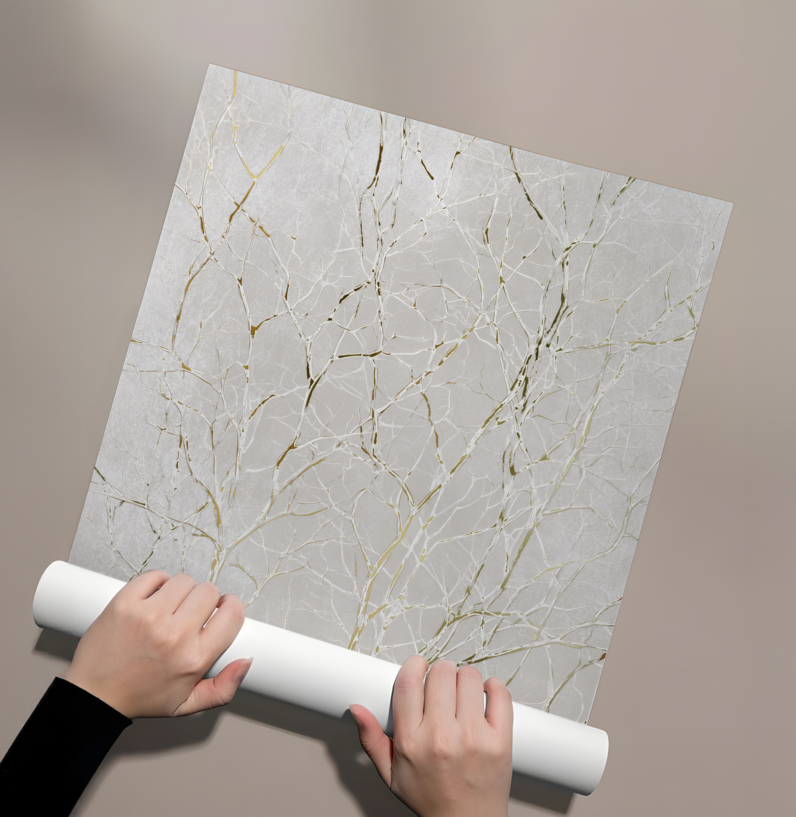 Posters Without Frame