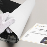 Posters Without Frame