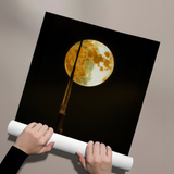 Posters Without Frame