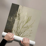 Posters Without Frame