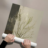 Posters Without Frame