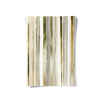 Posters Without Frame