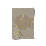 Posters Without Frame