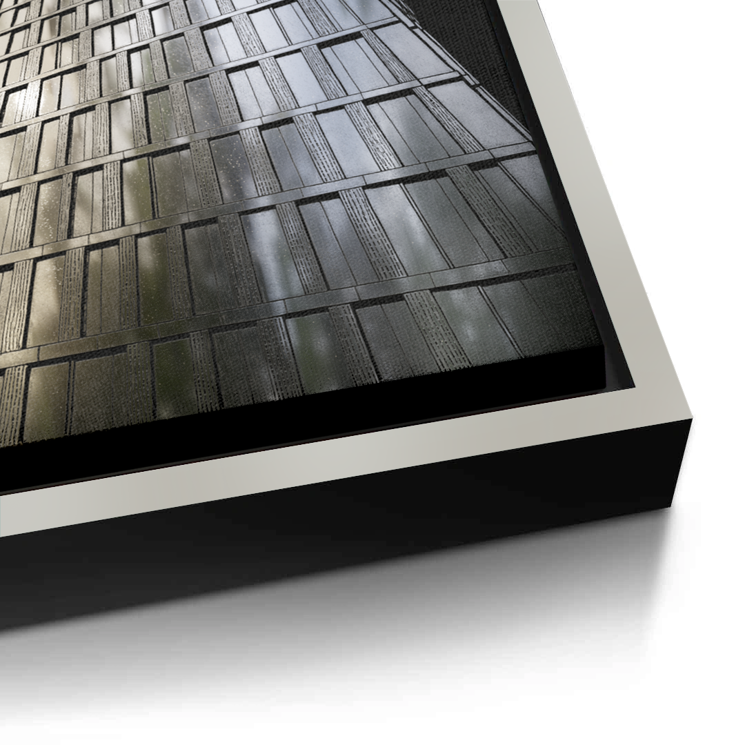Canvas Silver
