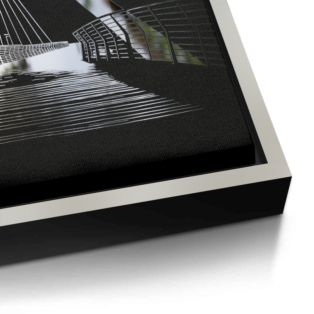 Canvas Silver