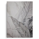 Canvas Without Frame