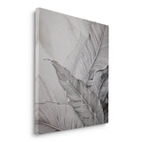 Canvas Without Frame