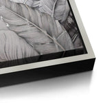 Canvas Silver