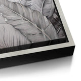 Canvas Silver