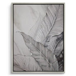Canvas Silver