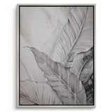 Canvas Silver