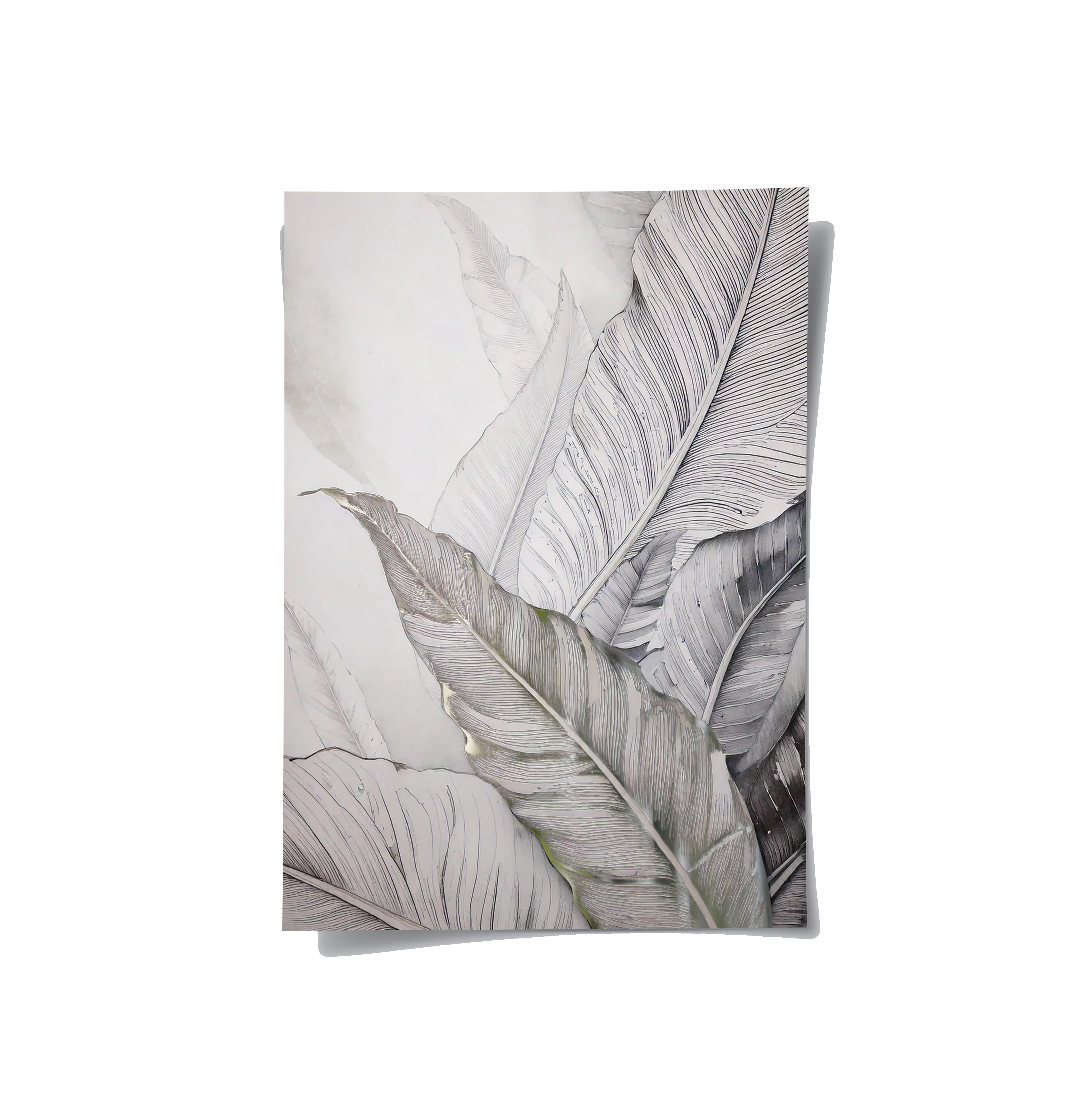 Posters Without Frame