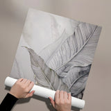 Posters Without Frame