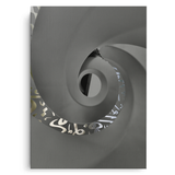 Spiral Vision
