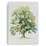 Canvas Without Frame