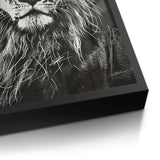 Posters Black